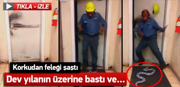 Korkunç yılan şakası
