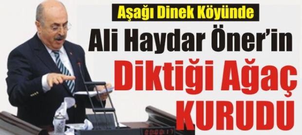 Ali Haydar Öner'in Diktiği Ağaç Kurudu !