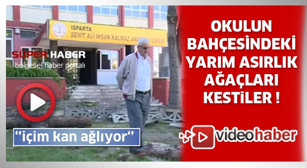 İçim kan ağlıyor ağaçları kestiler !
