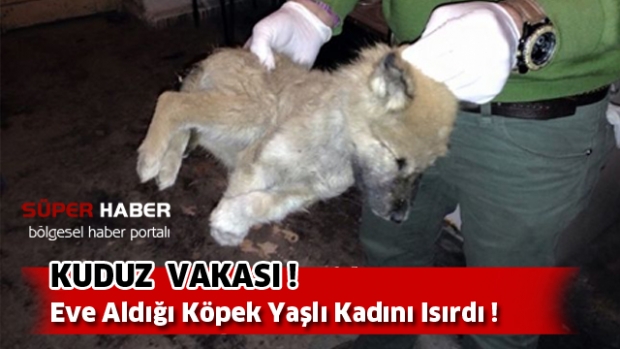 Isparta'da şüpheli kuduz vakası