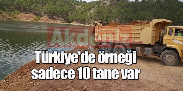 Türkiye'de örneği sadece 10 tane var