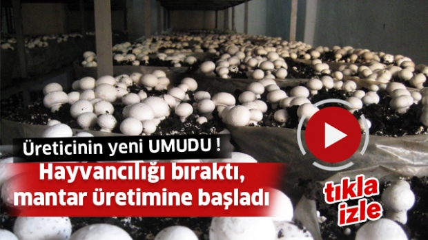 Üreticinin yeni umudu