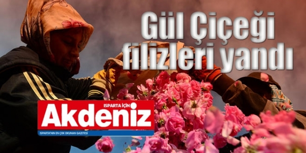 Gül Çiçeği filizleri yandı