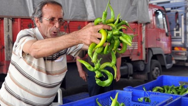 Domates ve biber fiyatı dibe vurdu