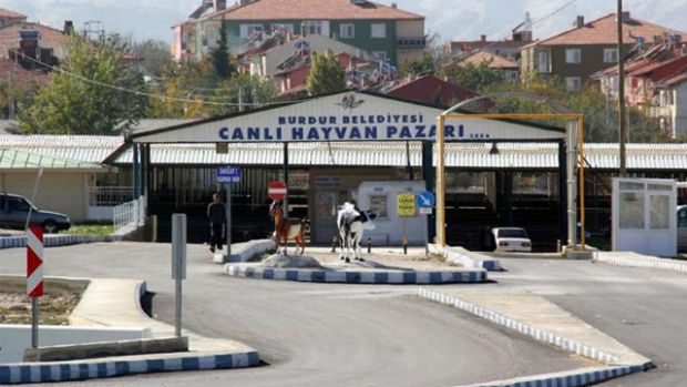 BURDUR BELEDİYESİ CANLI HAYVAN PAZARI TEKRAR AÇILIYOR