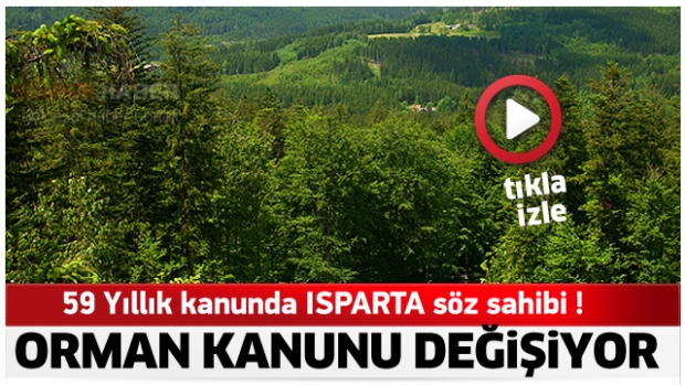 Orman Kanunu değişiyor