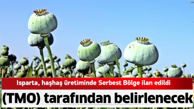 Isparta, haşhaş üretiminde Serbest Bölge ilan edildi