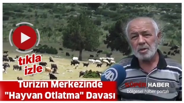 Turizm Merkezinde ''Hayvan Otlatma'' Davası