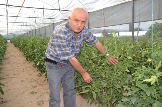 OLUMSUZ HAVA ŞARTLARI SERACILIĞA DA YARAMADI
