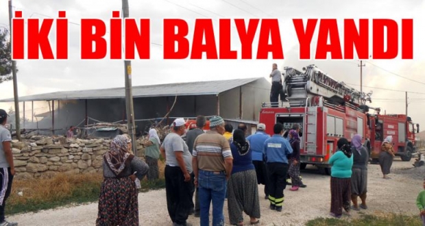 İKİ BİN BALYA YANDI