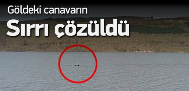 24 yıllık sır çözüldü! Canavar mı?