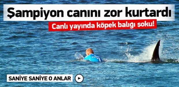 Şampiyona köpek balığı şoku! İşte o anlar