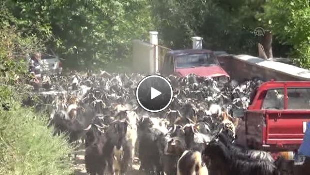 Ispartalı Yörüklerin Yüzyıllardır Süregelen Geleneği