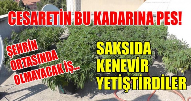 CESARETİN BU KADARINA PES!