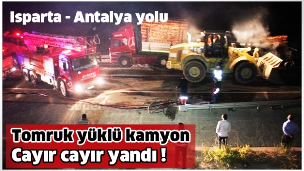 Tomruk yüklü kamyonda yangın