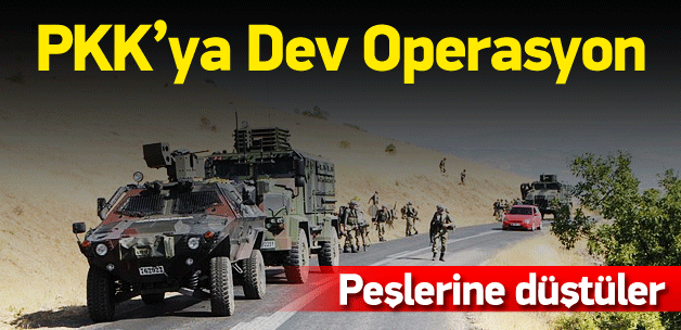 Tunceli'de PKK'ya operasyon başlatıldı