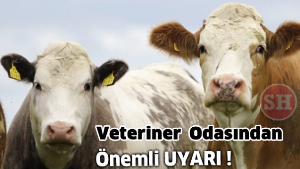 Veteriner Hekimleri Odasından uyarı