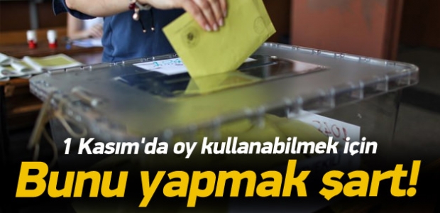 1 Kasım'da oy kullanabilmek için bunu yapmak şart