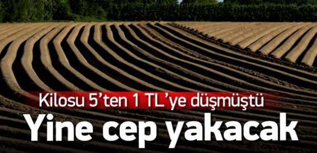 Kilosu 1 TL'ye satılıyordu, şimdi cep yakacak!