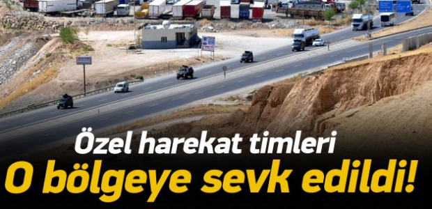 Şırnak'a özel harekat timleri sevk edildi