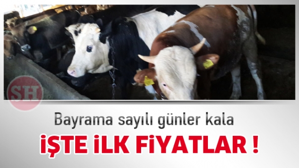 Kurban Fiyatları Belli Oldu