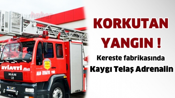 Kereste fabrikasında yangın çıktı