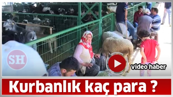 Isparta'da Kurbanlık Kaça ?