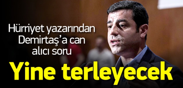 Hürriyet yazarından Demirtaş'a can alıcı soru