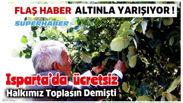Ihlamur Dünyada Sadece Isparta'da Bedava