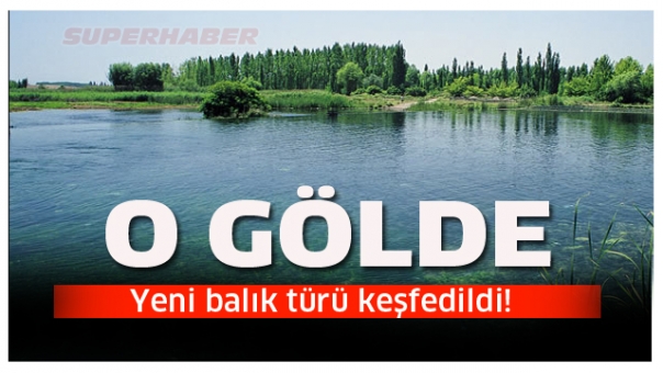  Yeni bir balık türü keşfedildi