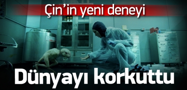 ÇİNLİLER ÇILDIRMIŞ OLMALI AKILAMAZ DENEY !