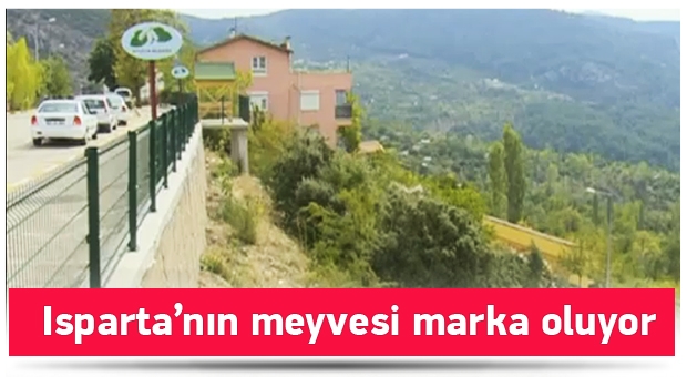 O İLÇENİN MEYVESİ MARKA OLUYOR