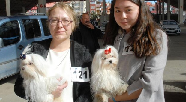 Köpekler Podyuma Çıktı