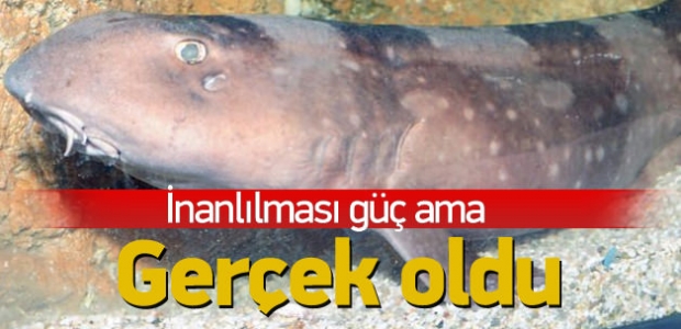 İnanılmaz ama gerçek oldu!