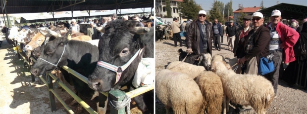 Isparta'da Kapatılan Hayvan Pazarları Yeniden Açıldı