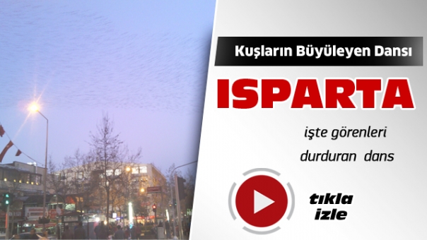 Isparta'da Kuşların Dansı Görüntülendi