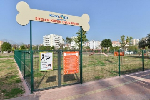 Bu Şehirde Köpek Oyun Parkı Açıldı