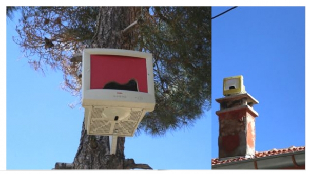 Isparta'da Bilgisayar Monitörlerinden Kuş Yuvası Yaptılar