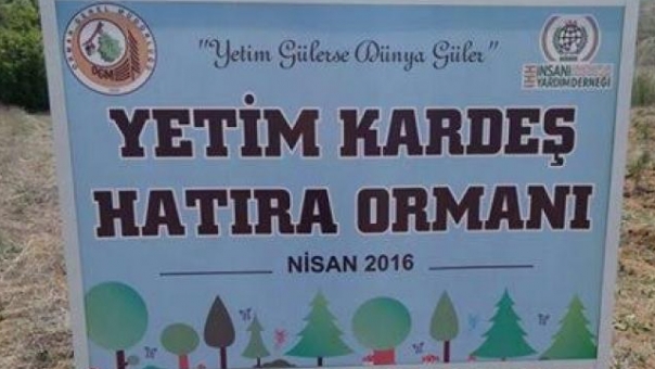 GENÇ İHH’DAN “YETİM KARDEŞ HATIRA ORMANI”