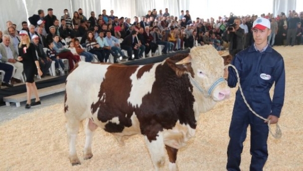 Tarım ve Hayvancılık Sektöründen Dev Buluşma