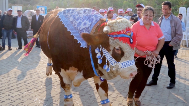 Burdur tarım ve hayvancılıkta zirveye oynayacak