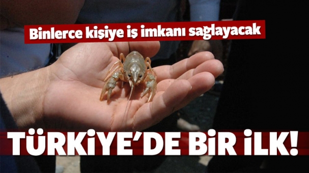 Türkiye'de Bir İlk! Binlerce Kişiye İş İmkanı Sağlayacak