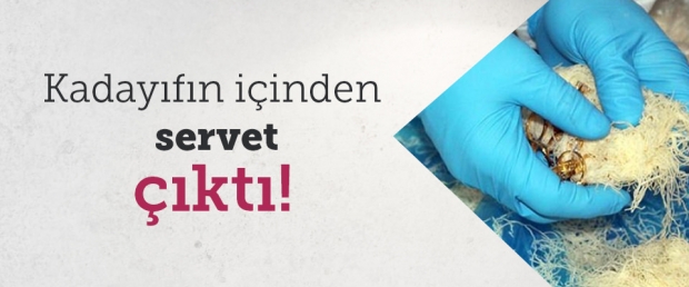 Kadayıfın içinden servet çıktı!