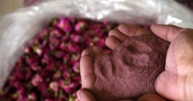 Isparta Gülünün Tozu Bile Para Ediyor