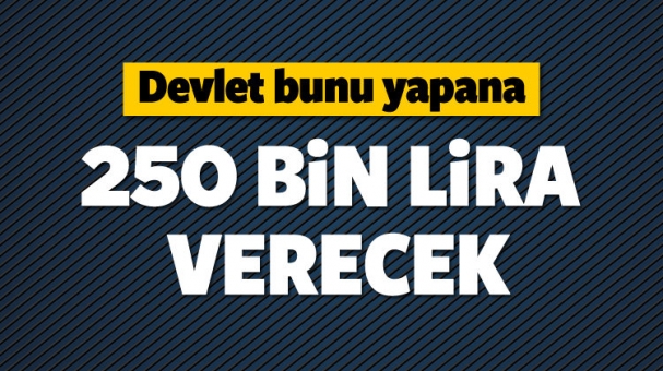 Devlet Bunu Yapana 250 Bin Lira Verecek!