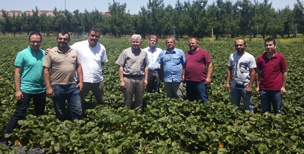 Isparta’da Çilek Yetiştiriciliği Gelişiyor