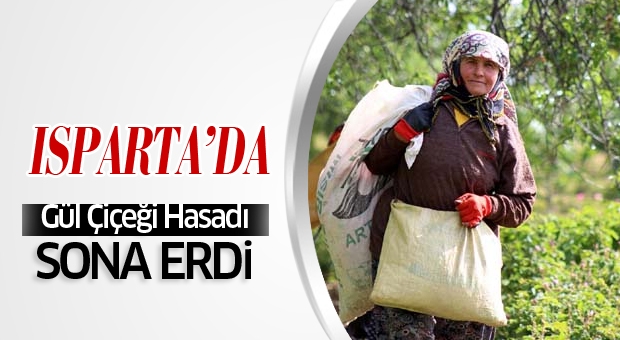 Isparta'da Gülçiçeği Hasat Sezonu Sona Erdi
