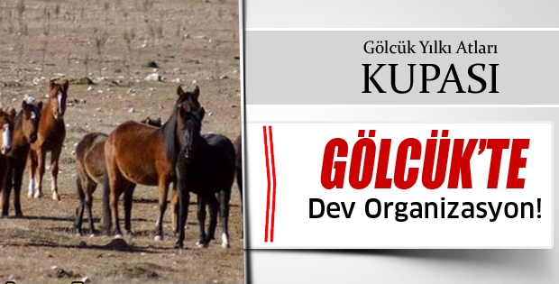 Gölcük’te dev organizasyon