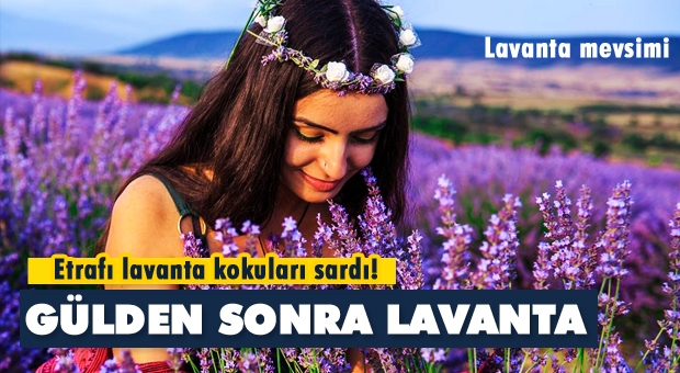 Isparta'da Lavanta Mevsimi Başladı 