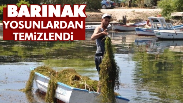 Isparta'da Balıkçı Barınağı Yosunlardan Temizlendi